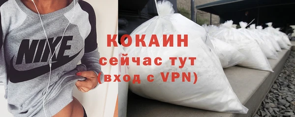 индика Нягань