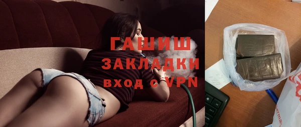 индика Нягань