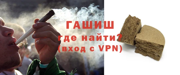 индика Нягань