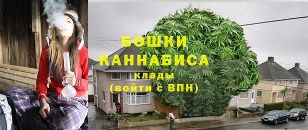 индика Нягань