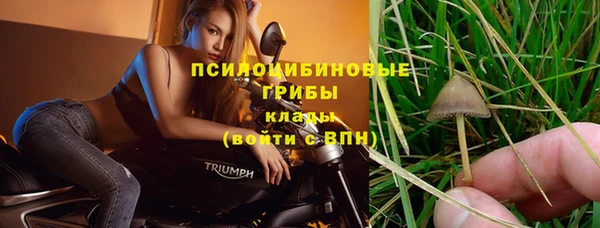 стафф Новодвинск